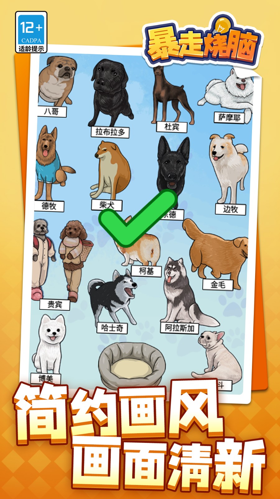 暴走烧脑精简版