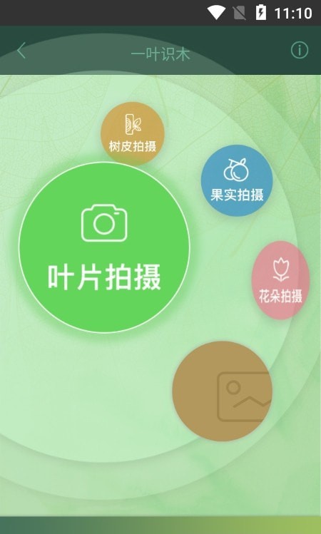 一叶识木官方版