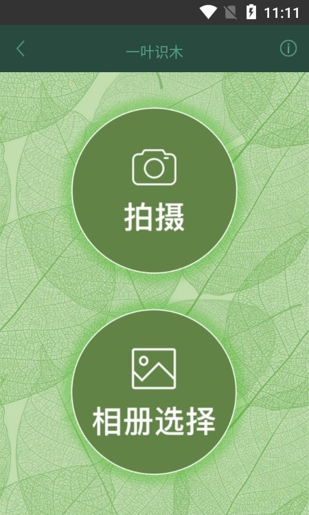 一叶识木官方版