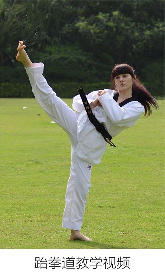  跆拳道教学视频