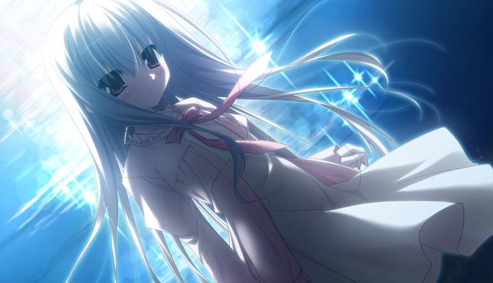 伊甸园galgame修改版