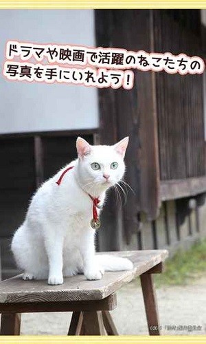 与玉之丞一起官网版