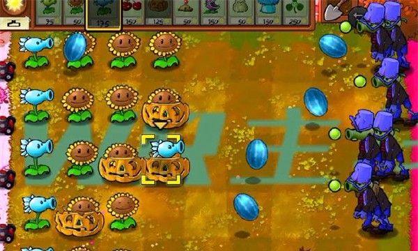 植物大战僵尸WR主线最新版