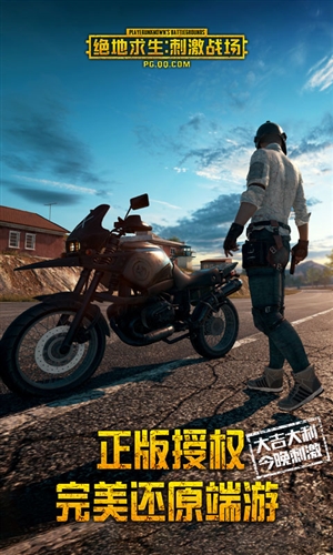 绝地求生刺激战场国际版